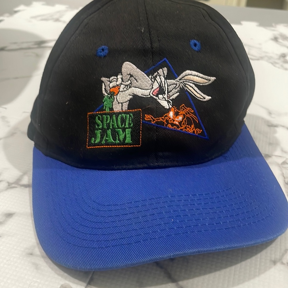 Vintage space jam hat